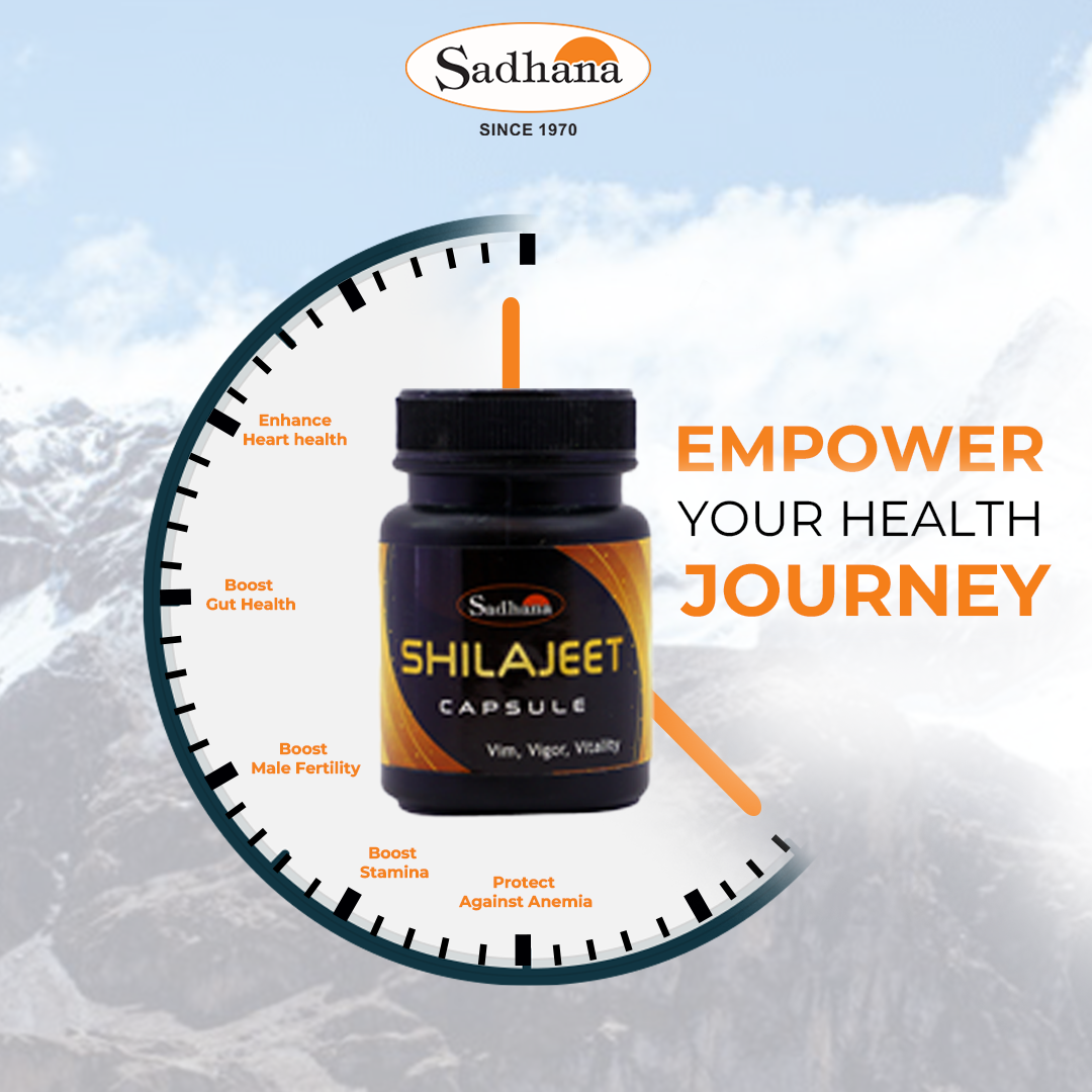 Shilajeet Capsule