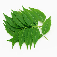 Neem