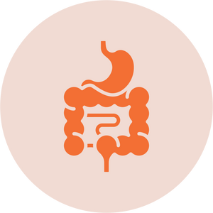 Digestion
